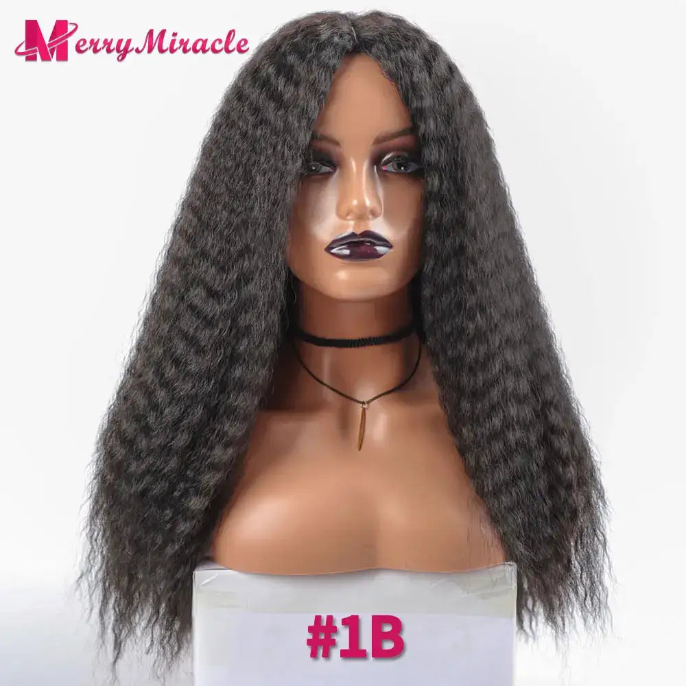 Afro Kinky Curly Hair Wigs